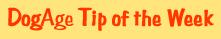 Read the DogAge tip of the week!