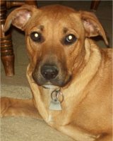 Please help us find Macey!