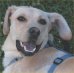 Read about Riley on Facebook!