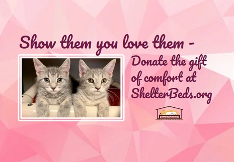 Watch a video about how to donate a kuranda bed